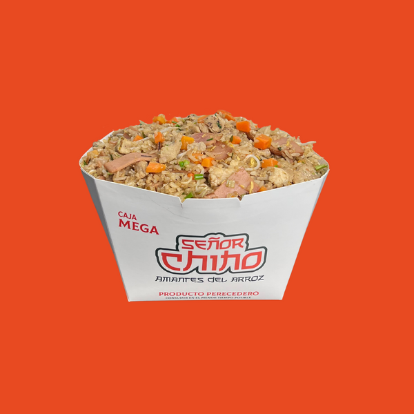 Arroz Chino especial